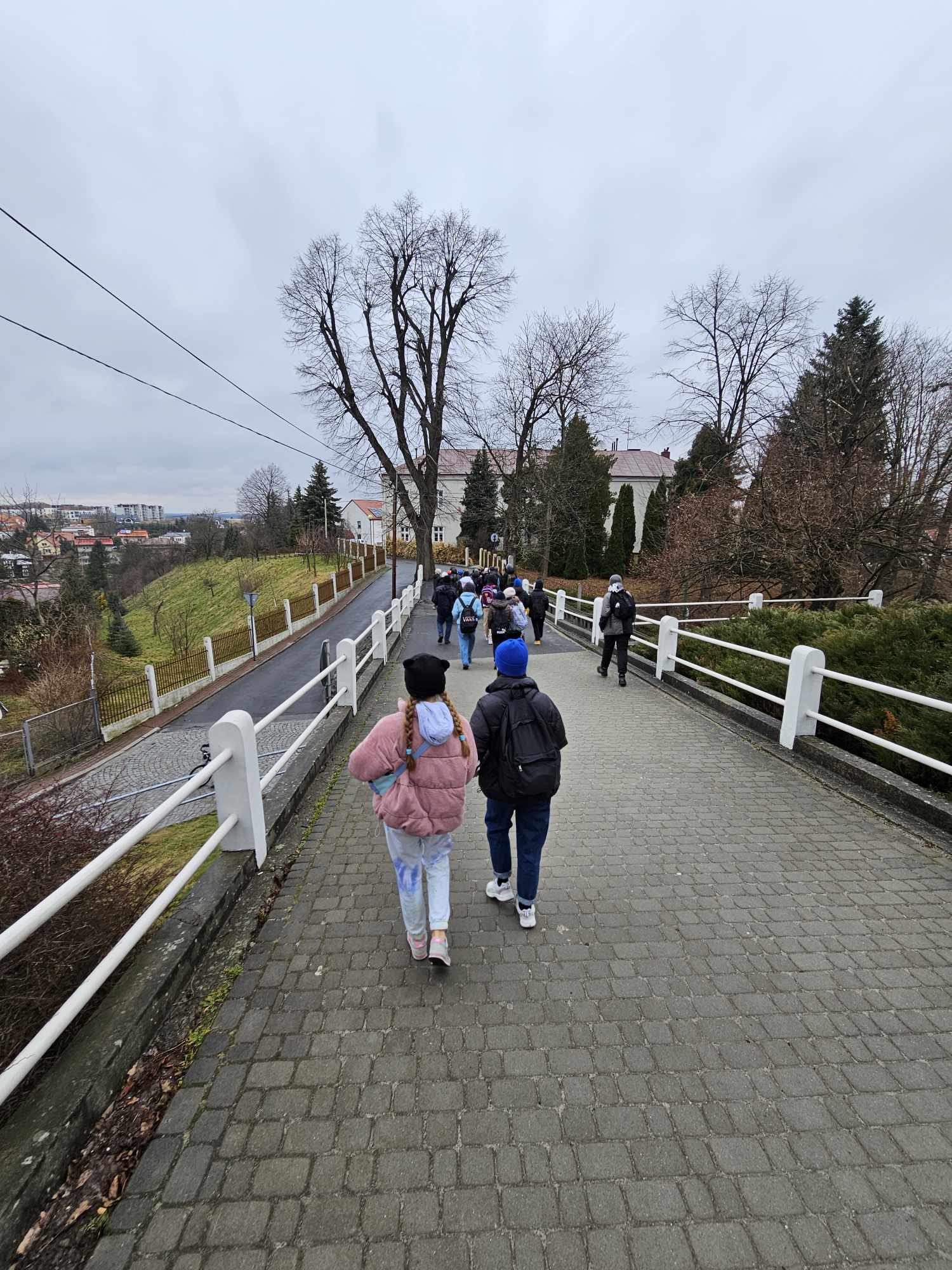 Wykład kierownik Joanny Kluz. W drodze na Wzgórze Zamkowe (Plebańskie) z grupą uczniów.