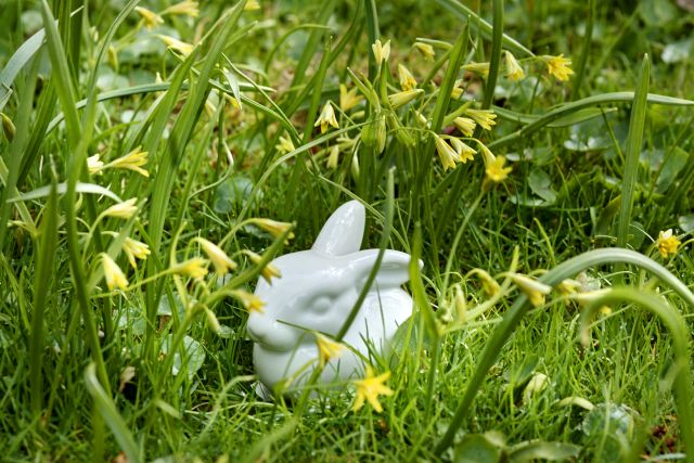 Ceramiczny biały zając w trawie i wśród drobnych, żółtych kwiatków