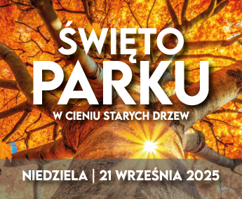 Baner - Święto Parku. W cieniu starych drzew. Niedziela, 21 września 2025. W tle stare, grube drzewo z pomarańczowo-żółtymi liśćmi