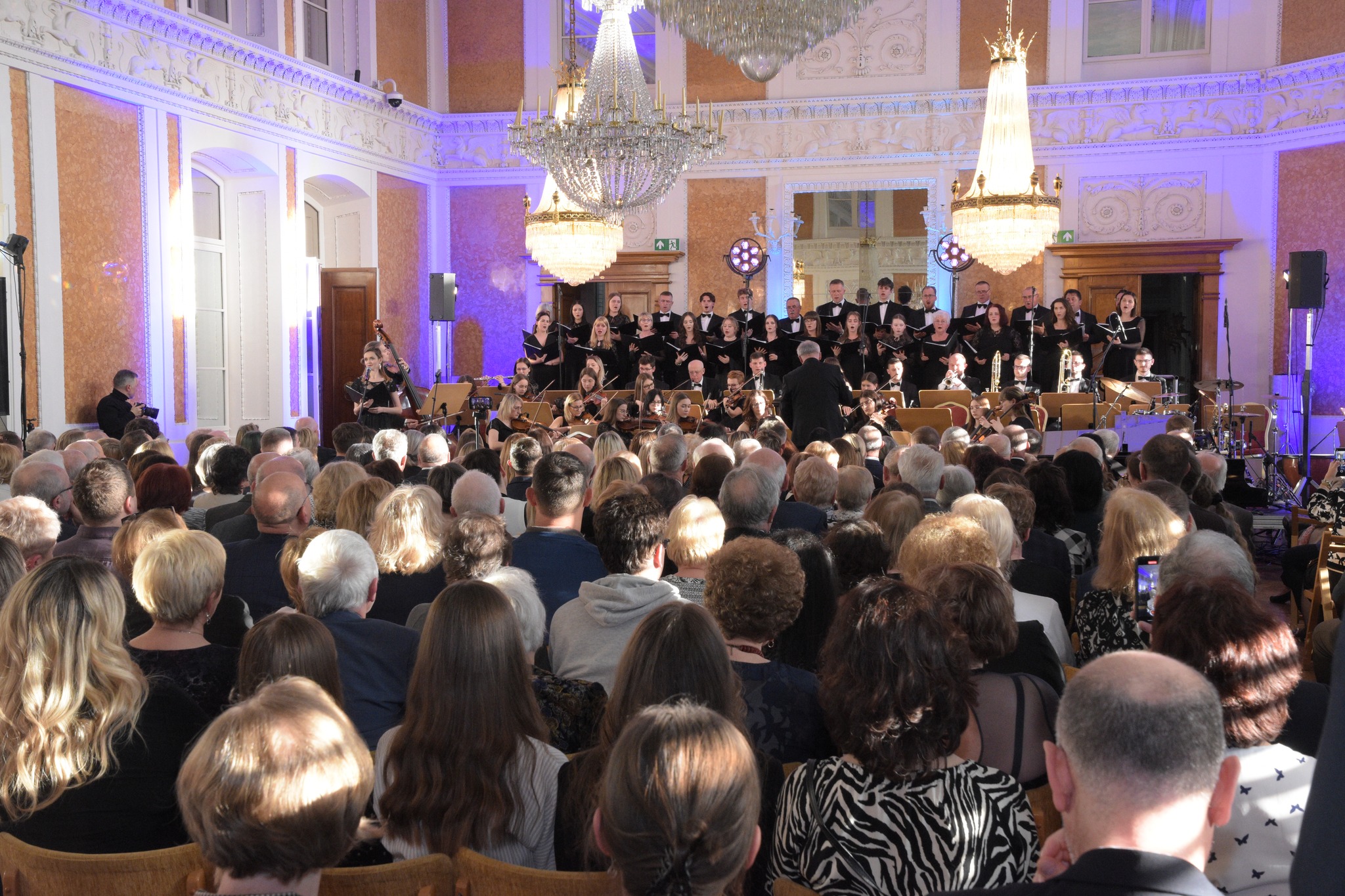 Sala Balowa, goście wydarzenia siedzą na krzesłach, widok na publiczność od tyłu i artystów występujących na scenie